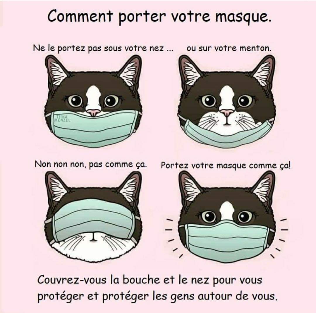 Bonjour à nos ptis voyageurs du #TGV8330 😊 
Je suis l'1 de vos chefs de bord  
<a href="/SNCF/">❌</a> Aujourd'hui de Poitiers à Paris-Montparnasse 🌼
Si vous avez des questions #dansletgv n'hésitez pas à nous solliciter...
Bon voyage à tous 🌼😊🍀😷