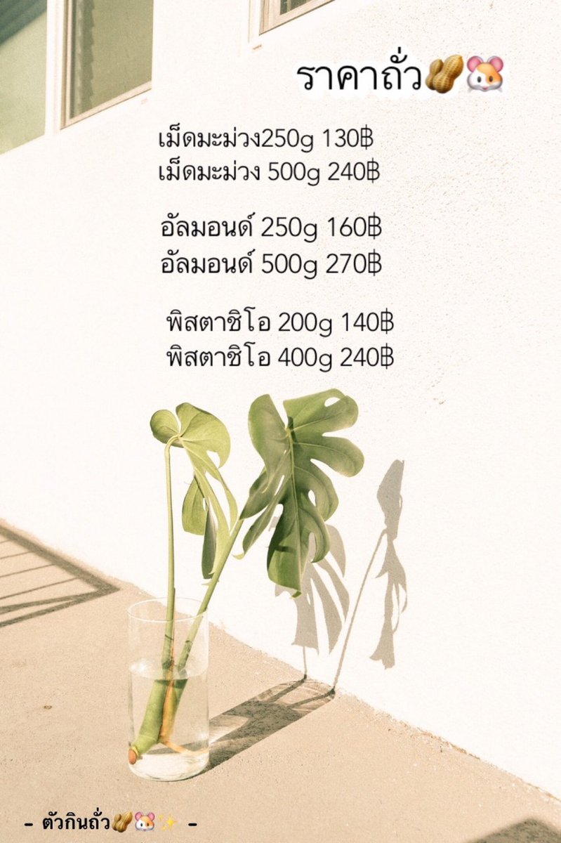 AmTributary's tweet photo. ถุงเล็กถุงใหญ่ ไซส์ไหน�� ก็อบใหม่ หอมๆ จากเตาค่า 🥰🥜✨ 
ーเม็ดมะม่วงหิมพานต์อบเนย
ーพิสตาชิโออบ
ーอัลมอนด์อบ
📮ส่งทั่วไทย ส่งไว ค่าส่ง 50.- (สั่งไม่ถึง 5 กก.) #อร่อยบอกต่อ #รีวิวระนอง #ฝากร้าน #ลดน้ําหนักแบบไม่แดกยาโว้ยย #ตัวกินถั่ว https://t.co/6kKnwg19lS