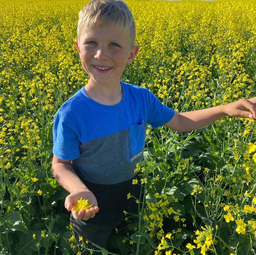 mac_acres's tweet photo. Family outing tonight cruisin’ the backroads. Checking crops, petal testing and putting up field signs @QuantumGenetix @MrsMacAcres #thebesthelpers https://t.co/sbbdvOeiSF