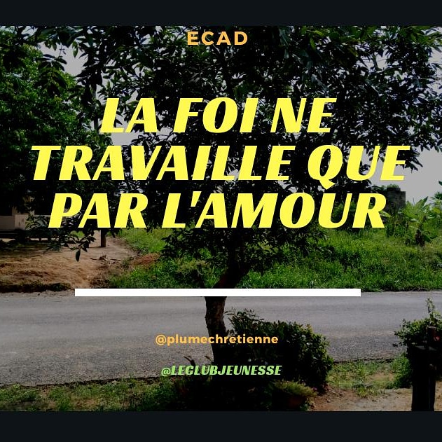 PlumeChretienne's tweet photo. 1 Corinthiens, 13:2 - Et quand j`aurais le don de prophétie, la science de tous les mystères et toute la connaissance, quand j`aurais même toute la foi jusqu`à transporter des montagnes, si je n`ai pas la charité, je ne suis rien. https://t.co/optFSm0Nvk