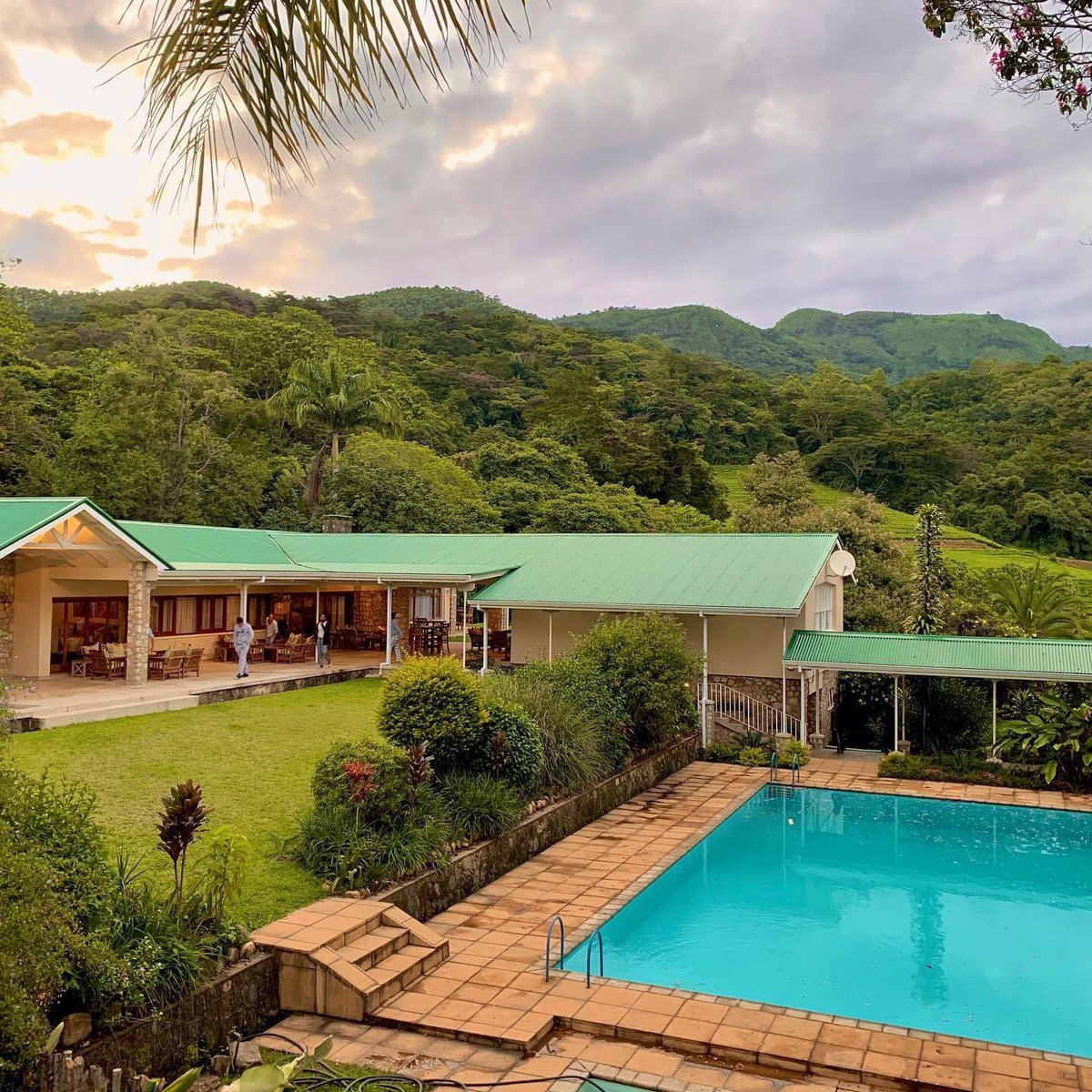 itravelholiday1's tweet photo. Looking for a serene escape? This lovely gem in the Honde Valley is that refreshing &amp;soul soothing break you v been longing for. https://t.co/Z0po4DIxFd