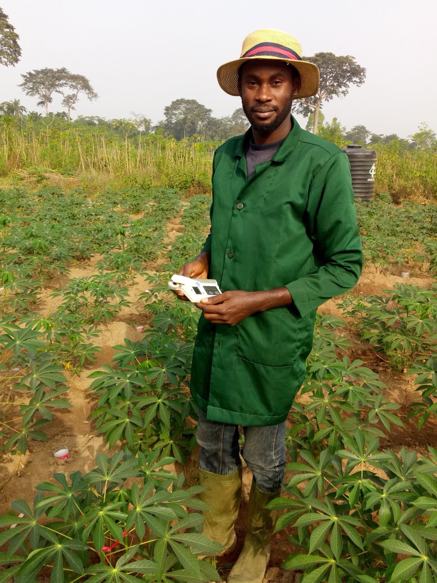 James Legg tweet media