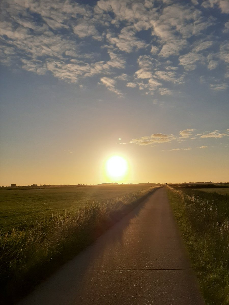 corhpol's tweet photo. Hij was er vanmorgen nog, #dezon. Met veel plezier vanmorgen weer 10,5 km. gewandeld. @HetHogeland is en blijft prachtig. #winsumermeeden #oudeae #halfwegen #potmaar #winsum #groningen #netherlands #wandelen #walking #sunrise #blijffit https://t.co/fw5AA99hCf