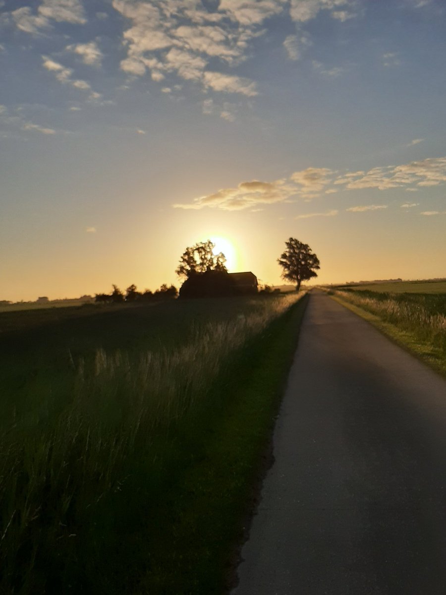 corhpol's tweet photo. Hij was er vanmorgen nog, #dezon. Met veel plezier vanmorgen weer 10,5 km. gewandeld. @HetHogeland is en blijft prachtig. #winsumermeeden #oudeae #halfwegen #potmaar #winsum #groningen #netherlands #wandelen #walking #sunrise #blijffit https://t.co/fw5AA99hCf