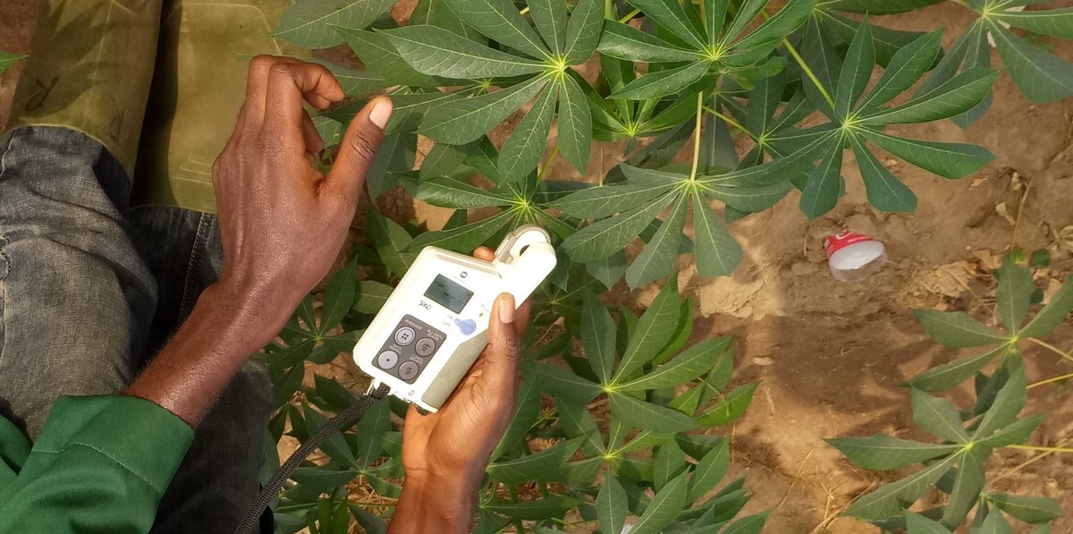 James Legg tweet media