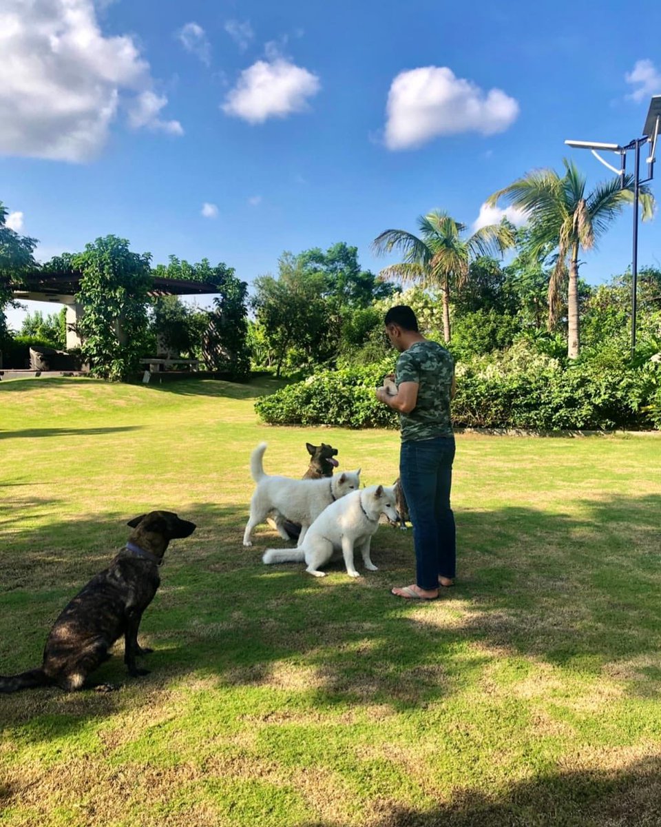msdfansofficial's tweet photo. .@msdhoni celebrating his 39th birthday with his adorable squad.🥳💙

#HappyBirthdayDhoni https://t.co/YaSx0xZrW3
