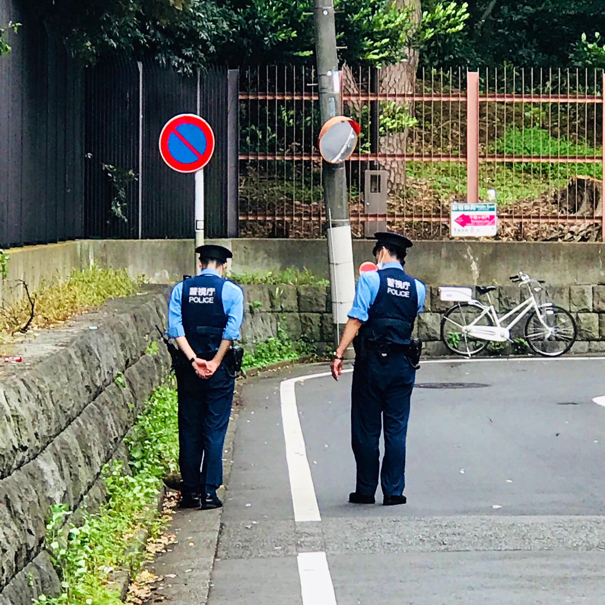 千駄ヶ谷の駅近くで、カルガモの親子のお引越しに、お巡りさんが護衛。