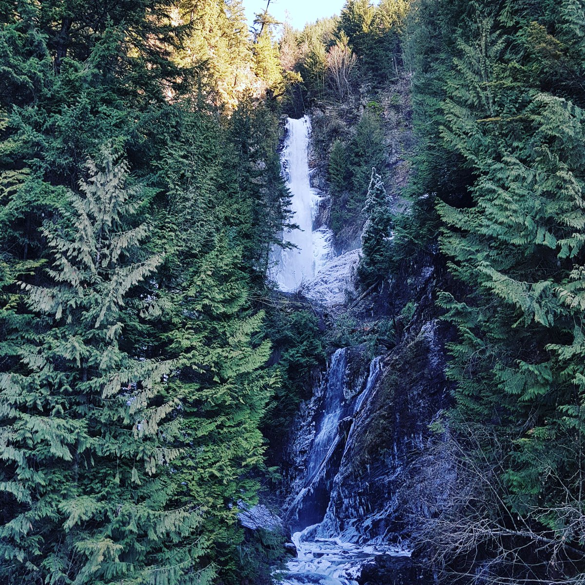 HStudio30's tweet photo. ” Some poor, phoneless fool is probably sitting next to a waterfall somewhere totally unaware of how angry and scared he’s supposed to be ” -Duncan Trussell #TwentyTwenty https://t.co/dZu3eNn0YD