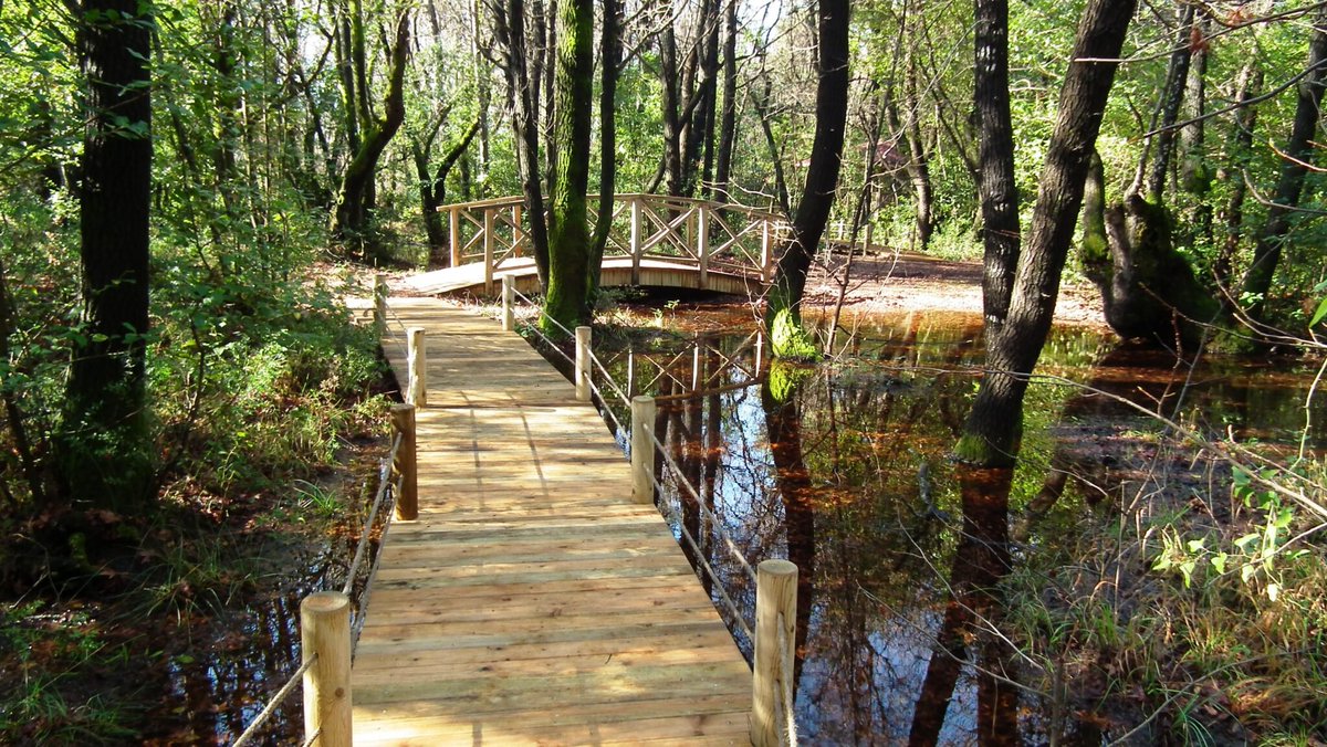 📍 Günnücek Kamp Alanı

Günnücek kamp bölgesi, ağaçların arasında muhteşem patika yolları bulunana, insana fantastik bir filde olduğunu hissettiren, Marmaris yakınlarında ki cennet mekandır. 

#kampyeri #kampyerleri