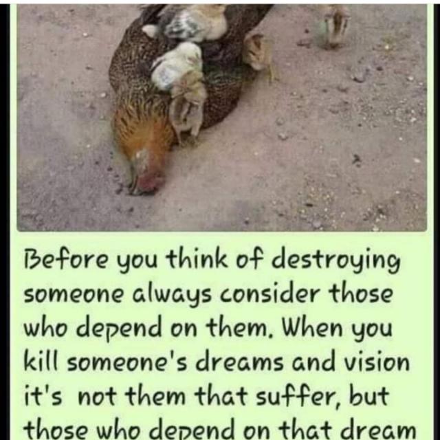 Niceissues1's tweet image. 🦅 *HABARI KUBWA LEO MAGAZETINI👇👇*
niceissues.com/2020/07/hottes…

🦅 *MTANDAO WA MAJI WAMTUA MAMA NDOO YA MAJI KICHWANI*👇👇
niceissues.com/2020/07/water-…