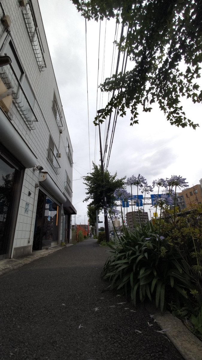 mohawkcharider's tweet photo. 道楽輪業開店です❗

また☂️降ってきましたね～
こんな日は籠ってホイール組みましょう。

今日も20時頃まで開店してます。
よろしければお立ち寄りください。

#自転車
#修理
#西東京市
#西武柳沢
#東伏見
#ロードバイク
#MTB
#クロスバイク
#ママチャリ
#ミニベロ
#shimano
#nexus
#inter3 https://t.co/L3KlRWulx0