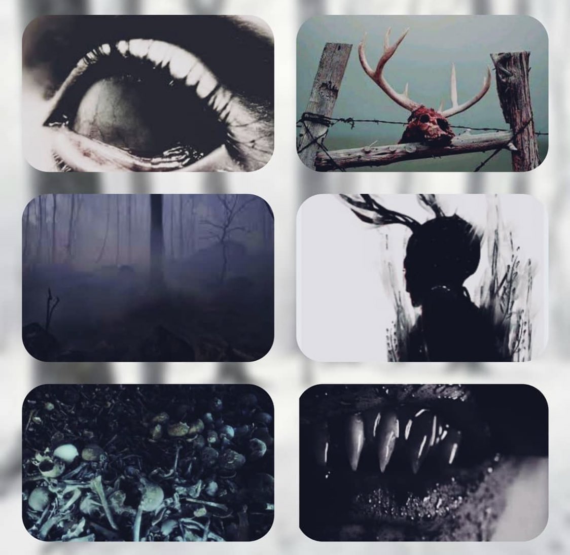 “𝑇ℎ𝑒𝑦 𝑤𝑒𝑟𝑒 𝑑𝑒𝑙𝑖𝑐𝑖𝑜𝑢𝑠...
       𝐵𝑢𝑡 𝑖 𝑑𝑜𝑛𝑡 𝑤𝑎𝑛𝑡 𝑡ℎ𝑖𝑠...
            𝐼 𝑑𝑜𝑛𝑡 𝑤𝑎𝑛𝑡 𝑡ℎ𝑖𝑠 𝑏𝑜𝑑𝑦...“

       An event for the new kid from South Park