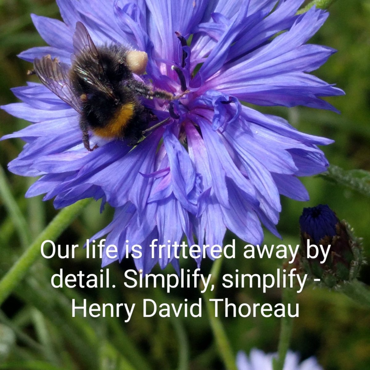 EGM_Cancer's tweet photo. Happy Tuesday π
Something a lot of us have come to realize over the last few months. Simplifying life can create great happiness π
#TuesdayThoughts #tuesdayvibes #simplelife #gobacktobasics #dontcomplicatethings #simplethings
@JacqDalyEGM @FrancesDrummo12 @Lynchsyndromirl https://t.co/iqOh435r1H