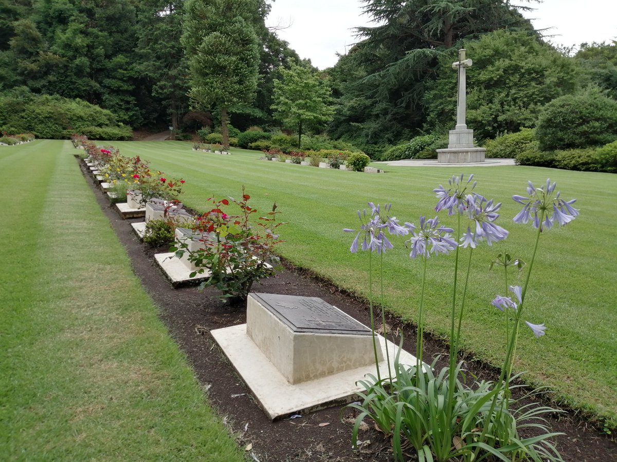 DCn7DAY7vU2ANgq's tweet photo. バラは終わりましたが、他の花も咲き始めています。
#横浜 #yokohama #CWGC 
#YokohamaWarCemetery 
#英連邦戦死者墓地  #保土ヶ谷　#花 #アガパンサス #ギボウシ #コレオプシス https://t.co/vfewTOYjzV