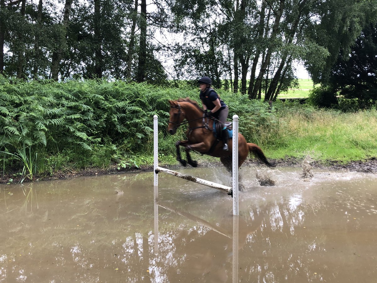 GNE_Contracting's tweet photo. One of our employees letting off some steam at the weekend, what have you been up to?

#WorkHardPlayHard #ReadyForANewWeek #BringItOn https://t.co/Os6g2QeUBX