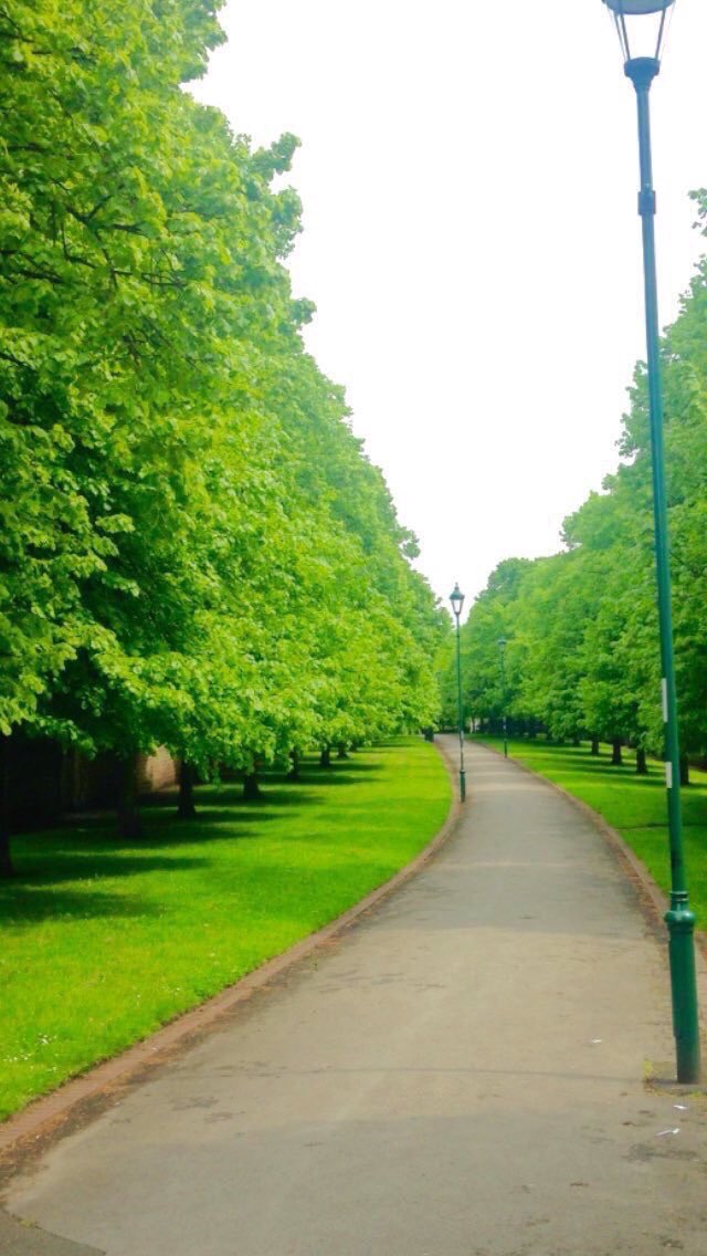The 1845 Enclosure Act created 4 walks. Elm Avenue, Corporation Oaks, Robin Hood Chase and Queen’s Walk. Elm Avenue here begins near the junction of Mansfield Rd and Huntingdon St and ends at Cranmer St #Nottinghamshire #Nottingham #Notts