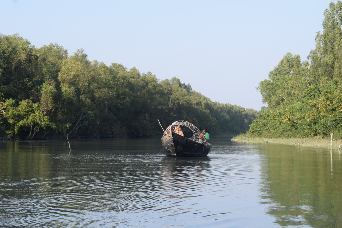 CJNBangladesh's tweet photo. How do #mangroves survive #localefforts on the #coastofBangladesh? How is the #locality #protected?
-----
@third_pole @isabelhilton @beth_wa @OmairTAhmad @Natalie_LTaylor @SoebZobaid @lizzie_frost @SaleemulHuq @FFFinBD @AnoushkaGupta @CANSouthAsia @TheSundarbans
@Sundarbans_SOS https://t.co/ndDuSkikKk