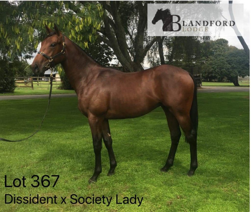 NewgateFarm tweet picture