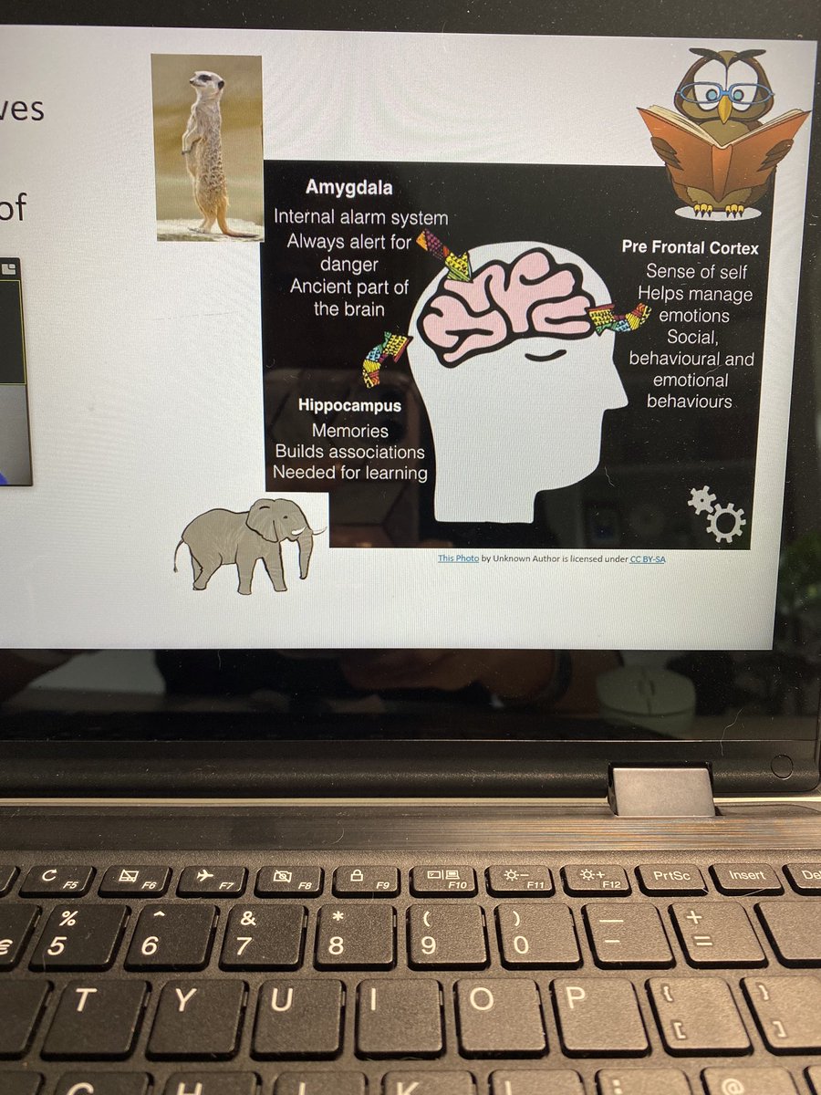 homestartbrack's tweet photo. @AlisonWokingham talking about what happens in our brains when we get stressed, anxious or tired. #relaxkids #brain #stressresponse https://t.co/2nJZpoMPKd