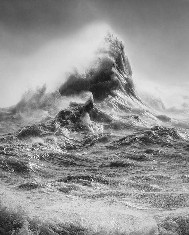 lessthanever's tweet photo. © Rachael Talibart  #photography https://t.co/Wsj9WjZEs8
