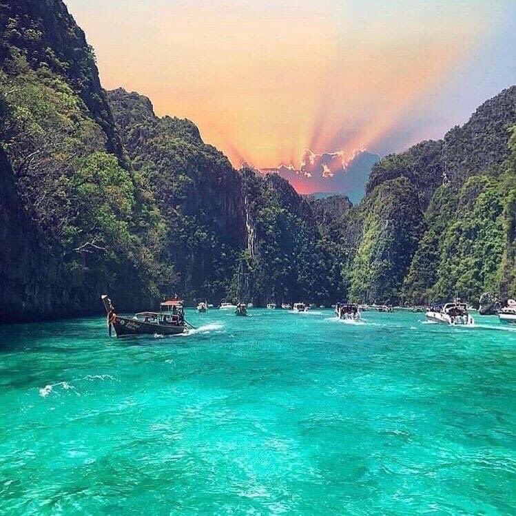 Travelito tweet media