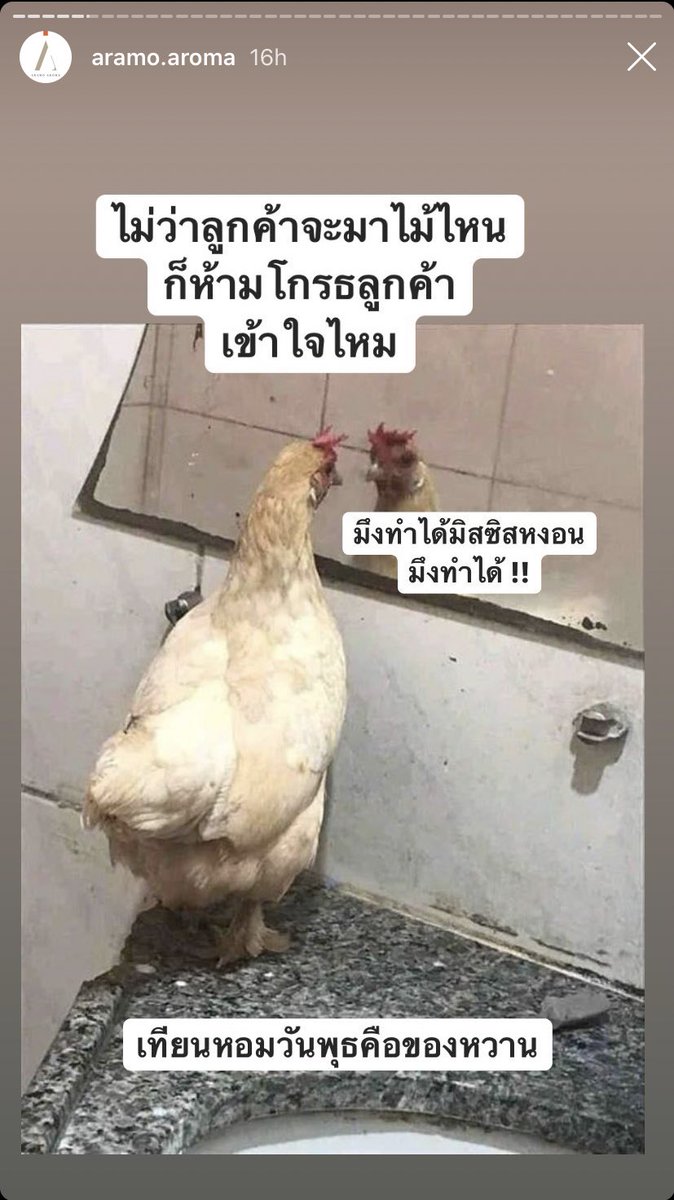 •˚₊ ˓🧚🏻‍♂️𝘧𝘢𝘪𝘳𝘺 𝘫𝘶𝘯𝘯𝘪𝘦 🐠 ᯓ✦ tweet media