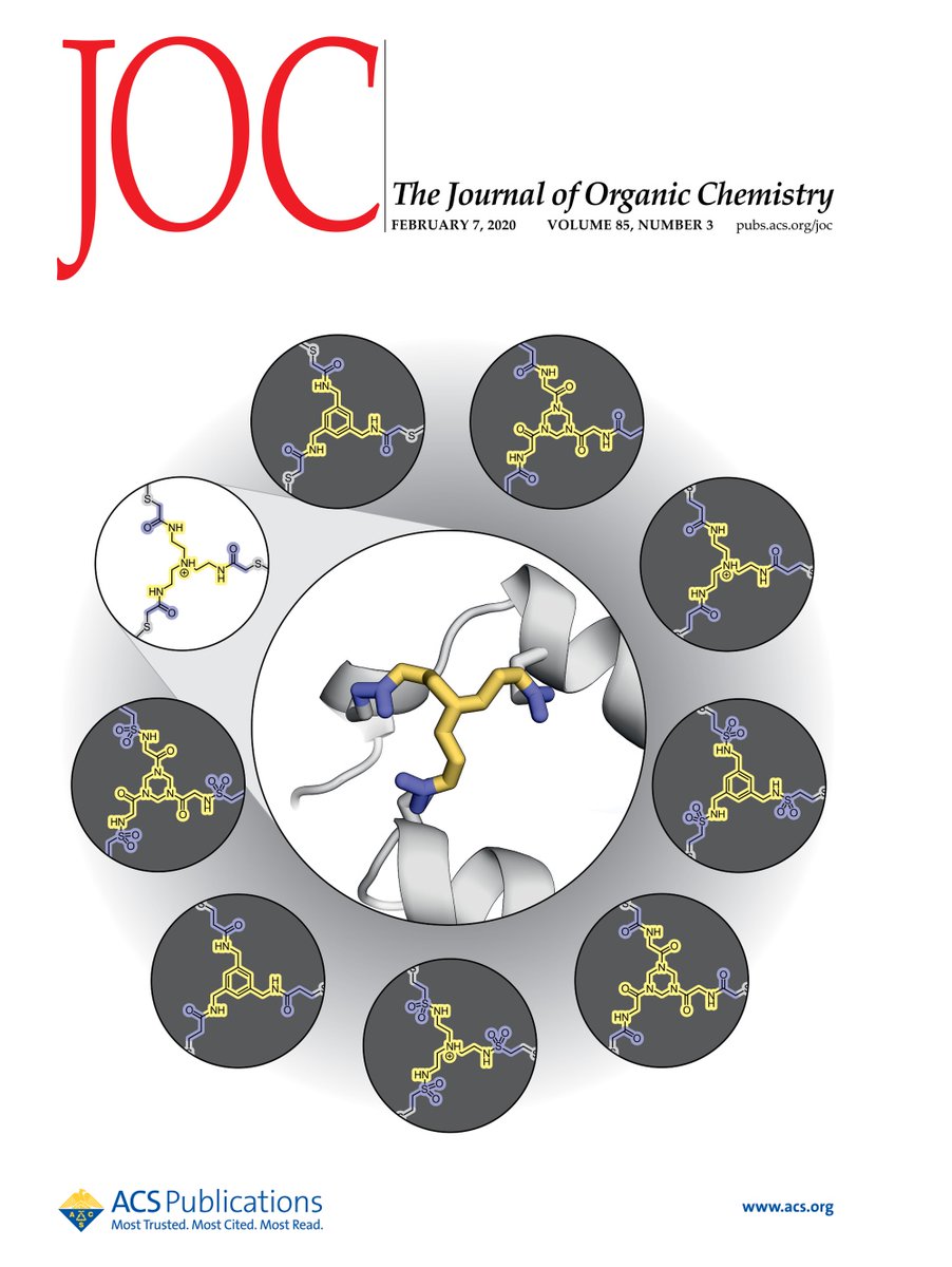 TomNGrossmann's tweet image. Very happy our new master students can join the lab @VU_Science! Welcome to Glenn and Mohamed who will work with @Al_rebreG and @SaskiaNeubacher in the #INCYPRO team.  Read more about our #INCYPRO protein chemistry @JOC_OL pubs.acs.org/doi/10.1021/ac…