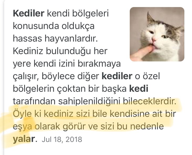 berfe_kuru's tweet photo. Dün kedim benim elimi kolumu yalayınca ben de herhalde beni seviyor dedim biraz araştırma yaptım ama neden o değilmiş. Neyse kediler biraz şeydir. https://t.co/HNThyRR2tW