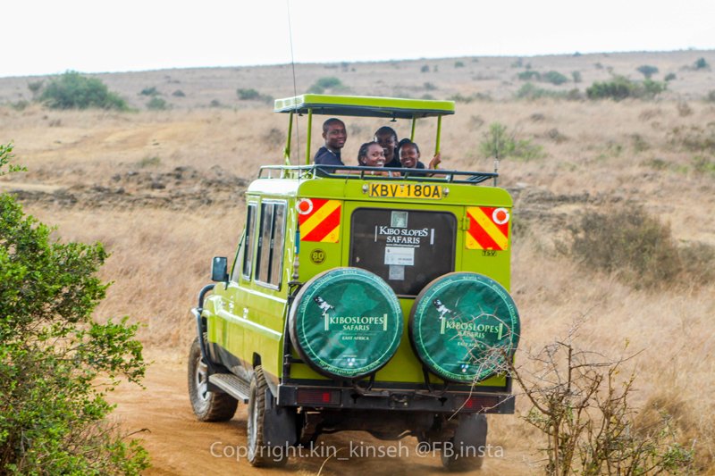KiboSlopes's tweet photo. #Tupumue, Are you tired of staying at home? Book a half day Nairobi National Park Tour at Ksh 2500/- with us for mind refreshing moments. #Tembea254, #Magicalkenya, #Timetotravel, #Wildlife, #DiscoverKWSParks, #photography, #greencityinthesun https://t.co/l5mMDEbQ9Y