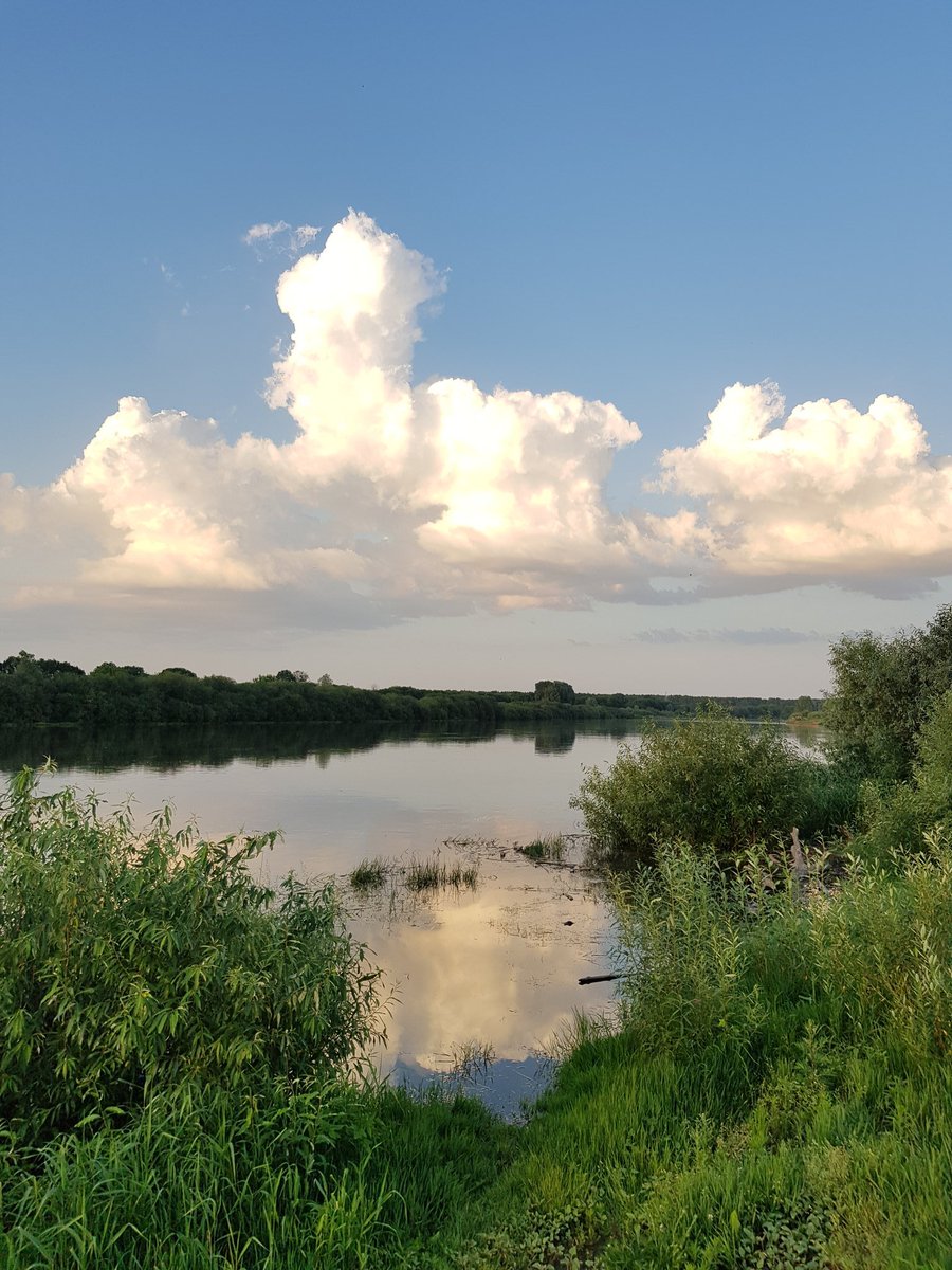 Жлобин уровень реки днепр в жлобине. Река сож в беларуси. Жлобин уровень реки днепр в жлобине. Фото днепр в жлобине. Жлобин уровень реки днепр в жлобине.