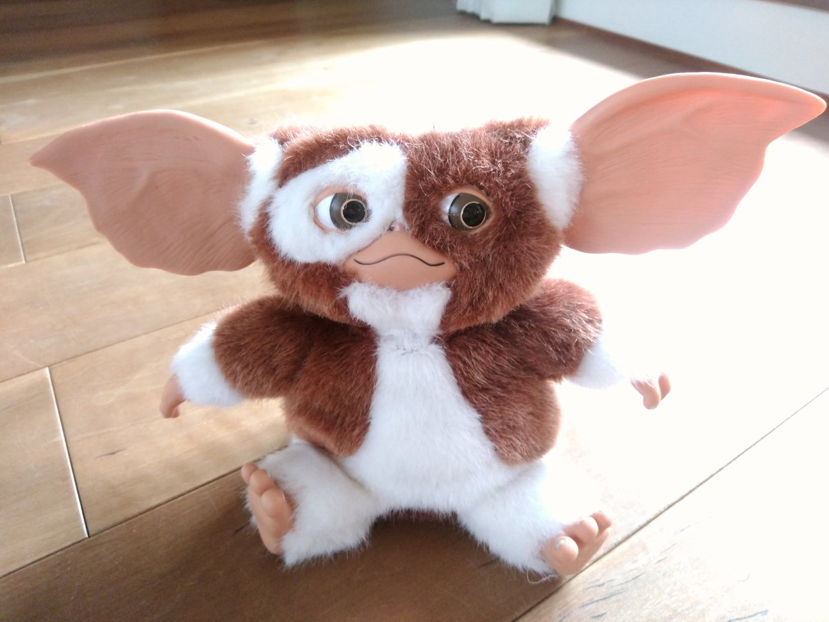 あっきう Sur Twitter グレムリンのギズモのぬいぐるみ 旦那さんがコッソリ買ってプレゼントしてくれたよ 私が一番好きなキャラクターなんだ 嬉しい 感謝感謝感謝 愛犬リヴもお耳が大きくてギズモみたいでしょ グレムリン ギズモ チワプー 白黒パンダ