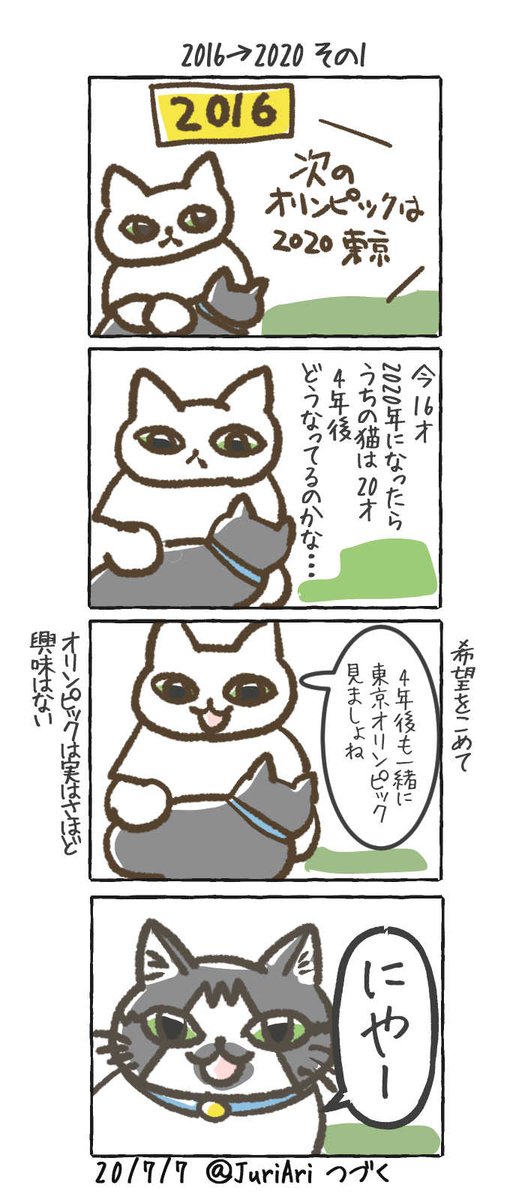 JuriAri's tweet photo. この日をそわそわして迎えました
うちの猫はいろいろ凄い
猫又になってるのかな

うちの猫は池江璃花子さんと同い年です
今日の四コマこたにゃんはスペシャル版
＃四コマこたにゃん https://t.co/Sb9c7Fyjq5