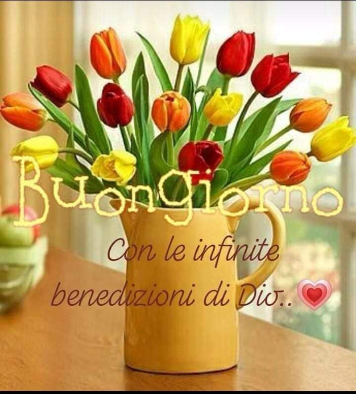 Piu Giuseppe 2 Buon Giorno Amici E Amiche Speciali Dio Vi Benedica Vivere La Parola Ciao Buona Giornata A Tutti Voi Un Abbraccio Immenso Da Nuoro T Co Fqsvsxgiwp