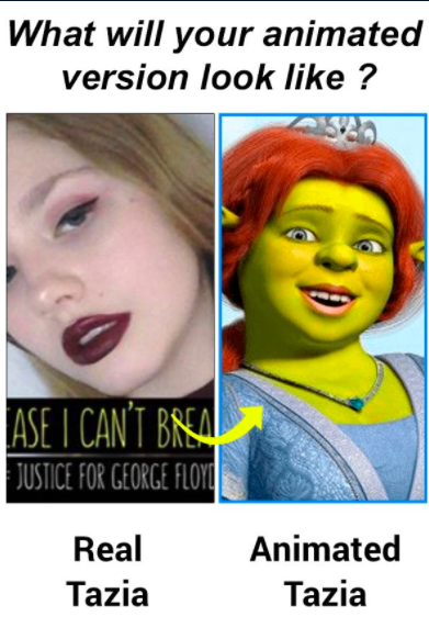 honestly i felt kind of attacked here. who the fuck says "you look like shrek's wife" and doesn't mean it as an insult?