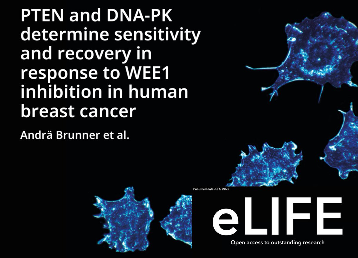 Juha K Rantala tweet media