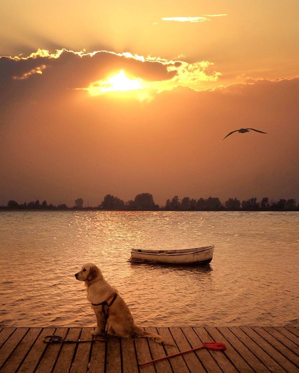 Juanjo Fuster tweet media