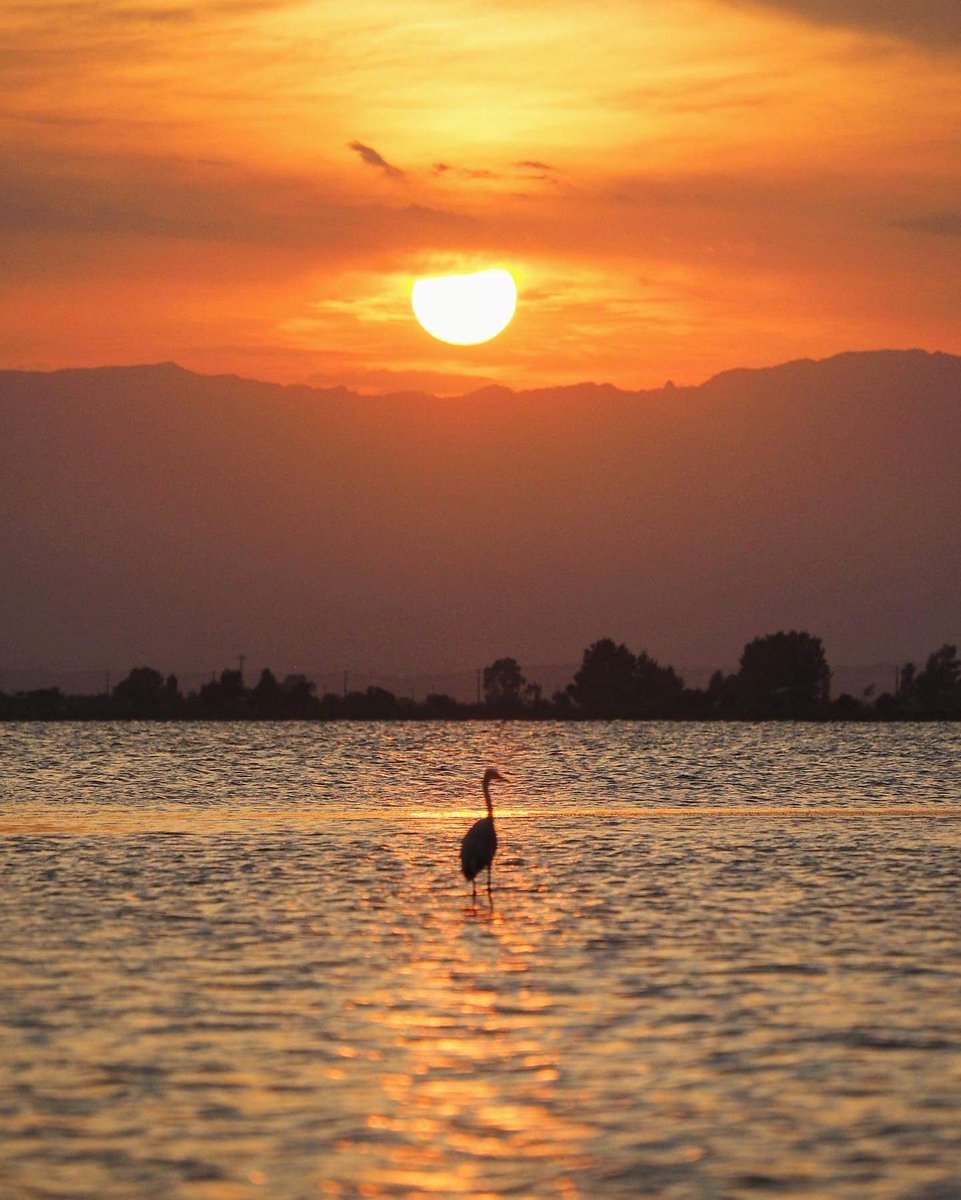 Juanjo Fuster tweet media