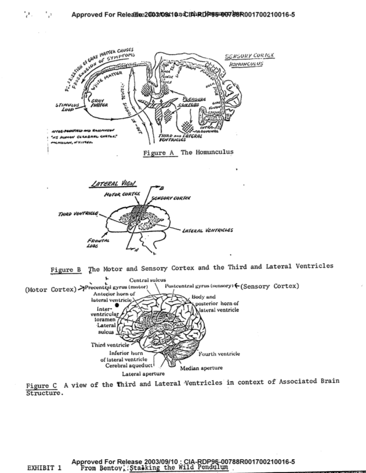 sunsemiliya's tweet image. 🗿 so CIA dropped some docs which tell that this is all a simulation and nobody gives a fuuug.. #projectstargate #monroe #gatewayprocess 

cia.gov/library/readin…