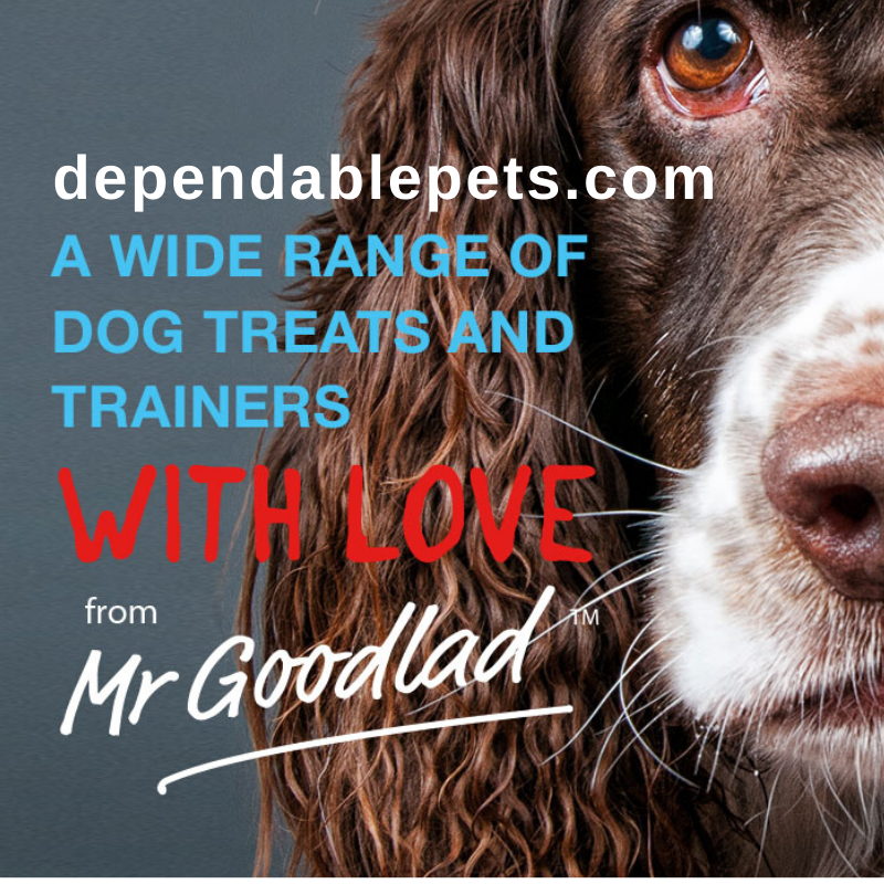 DependablePets's tweet photo. Dependable Pets stock a great range of natural foods and treats for cats and dogs. #dependablepets #countonus 🐾

#mrgoodlad
#treats
#withlove
#dog
#puppies https://t.co/OwcZEstpRV