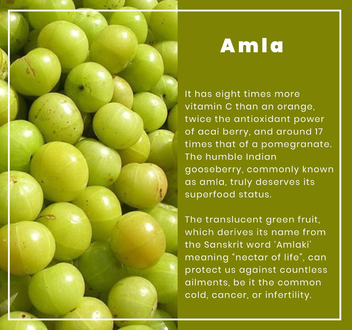 #amla #amlapowder #amlaoil #amlaskincare #organic #organicfood #organicfarming #healthyfood #healthylifestyle