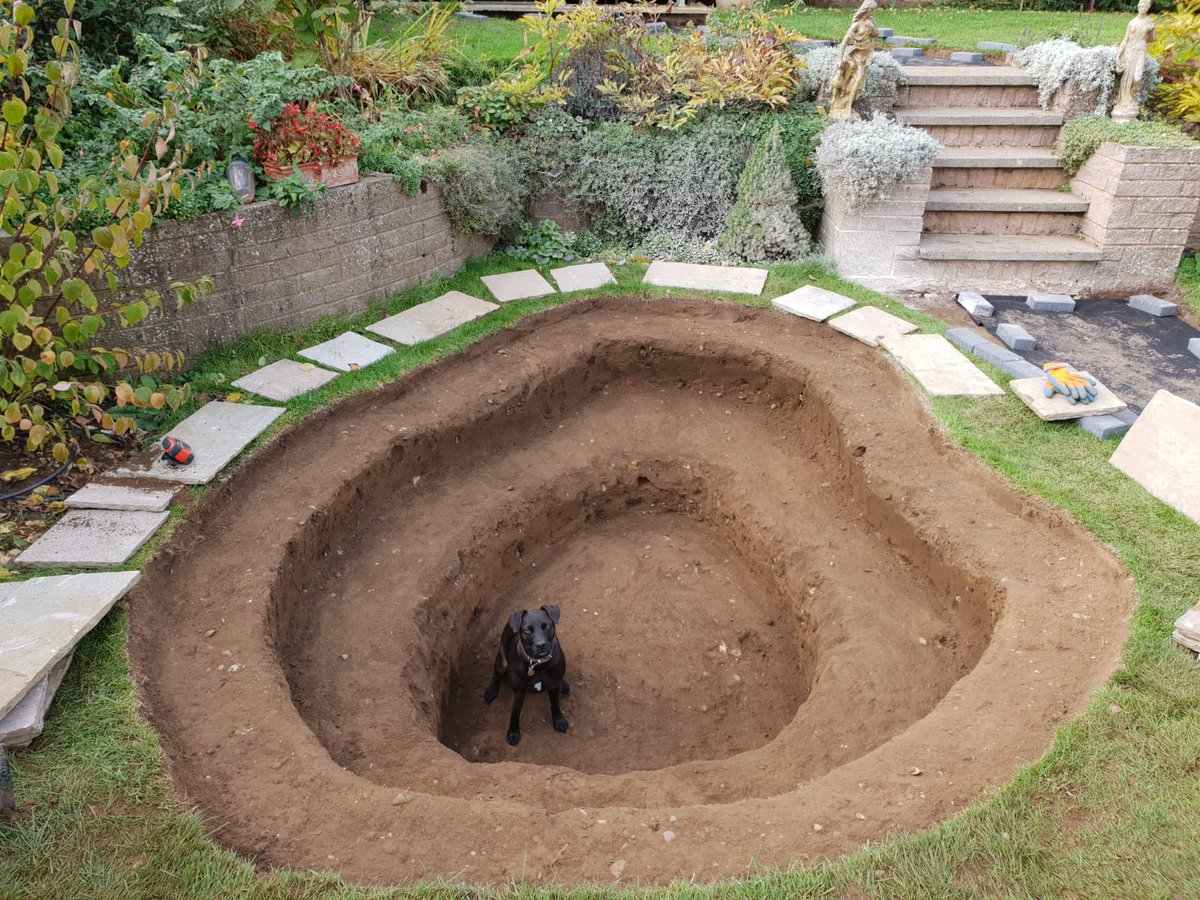 JLRbespoke's tweet photo. Tuco Tuesday
He’s back again! Look how hard Tuco has worked digging that big hole - good boy!
#landscaping #holedigging #bighole #gardening #workingdog #patterdaleterrier #dogsofinstagram #projectmanagement #leicestershireproperty https://t.co/LvAym3hgT3