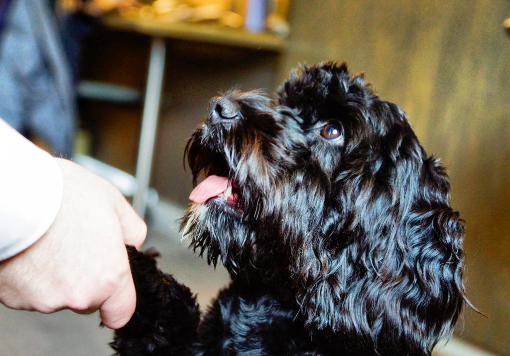 The Gailes Hotel & Spa tweet media