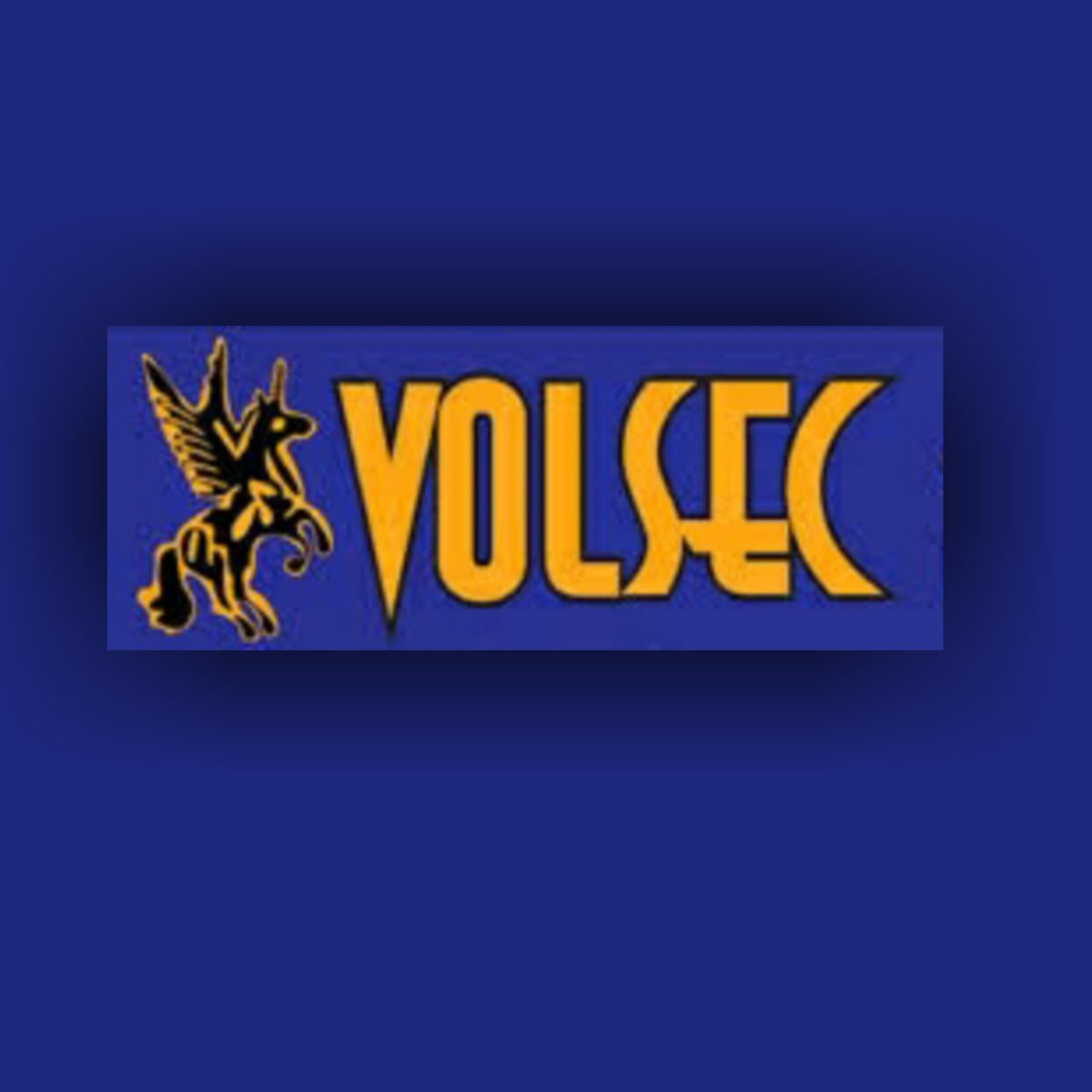 Volsec Security tweet media