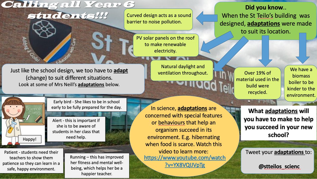 St Teilo's Science tweet media