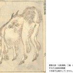 main image of this resource