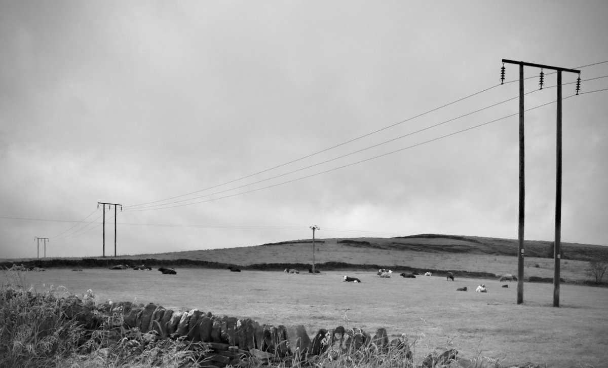 RealMrsHoney1's tweet photo. Fade away.. may need a click..
#fadeaway #grey #photography #PhotographyIsArt #RaymondMoore #peakdistrict https://t.co/EPI8nFuYim