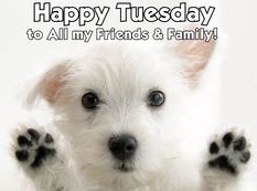 CartersCollecta's tweet photo. #TuesdayMotivation #StaySafe #BeKind
#Shielding Day113
Eyes still a problem so limited social media Aw
Priorities:
#Parcels2Pack
New Listings
Theme: #Ceramics
Stuck for #GiftIdeas?
Delve into #Antique / #Vintage / #Collectables website for inspiration
https://t.co/NPLKhy4hIL https://t.co/Mx5ljUgS3e