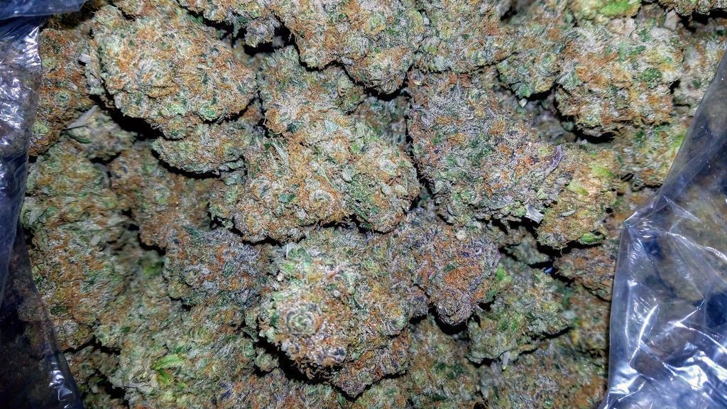 420's tweet image. Blueberry works for you?