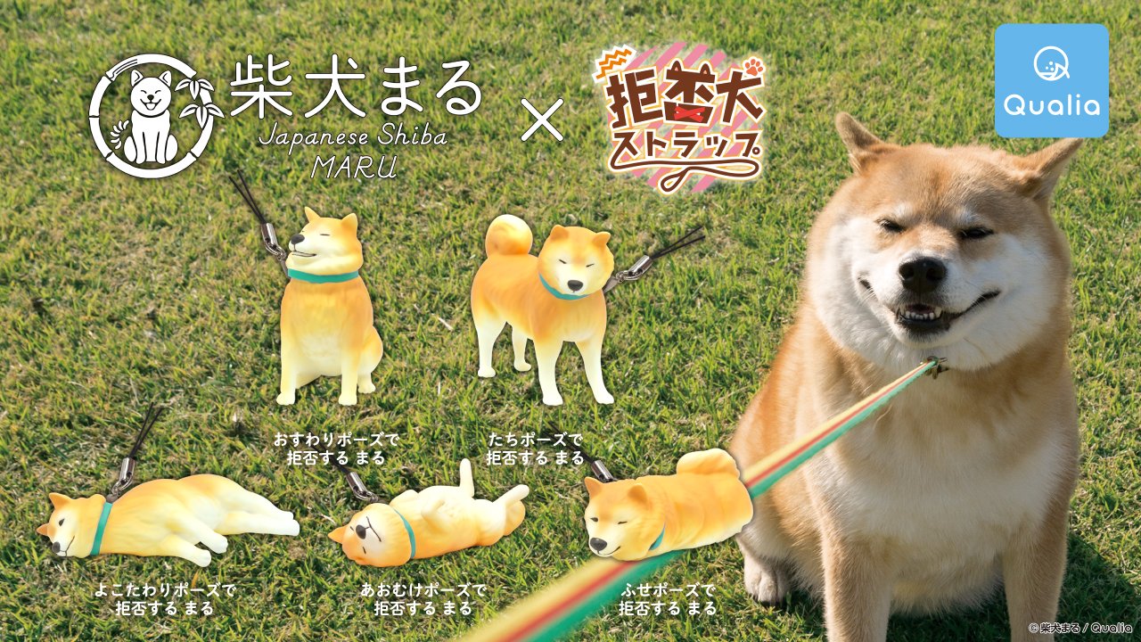 Qualia クオリア 公式 7月11日 土 発売スタート 柴犬まる 拒否犬 ストラップ Marutaro00 T Co Xbvwti2y0i 拒否犬シリーズ最新作 なんと柴犬まるとのコラボが実現しましたー しかも初のフィギュア化 是非まると一緒に カワイイ