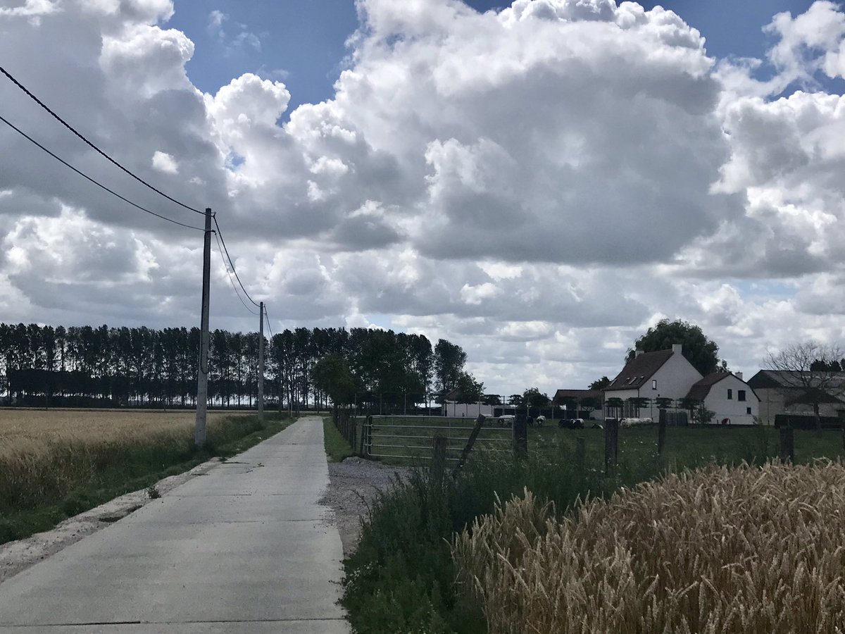 Goedemorgen allemaal!  
Gisteren gefietst/ Meetjesland België 🇧🇪! 
Fijne dag! 💙🤍